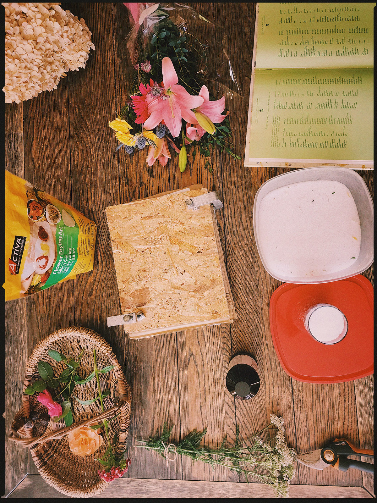 How to Preserve Flowers: Choosing the Best Method for Every Bloom