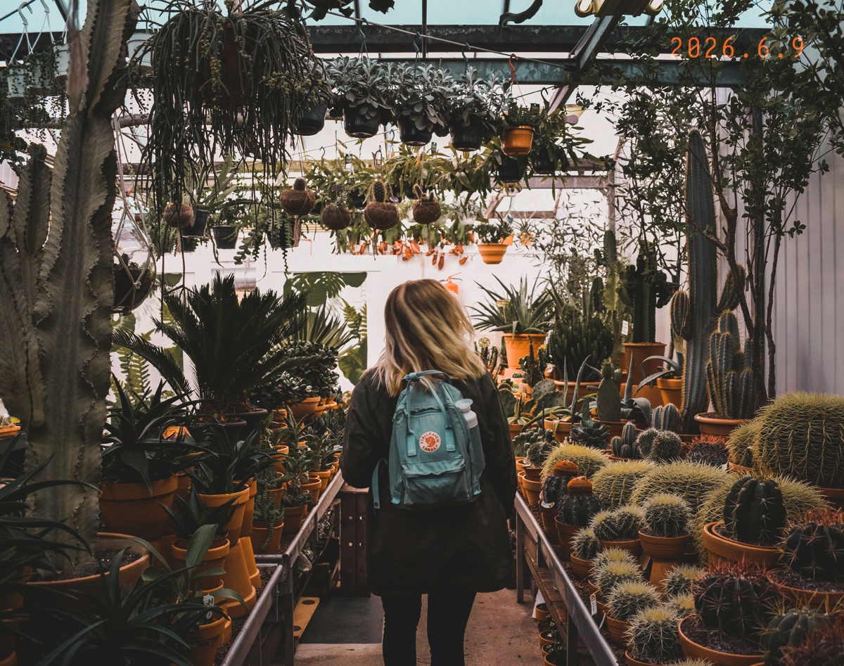 16 Cozy Summer Outing Ideas for Slow, Beautiful Days